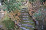 DSC_0374.JPG